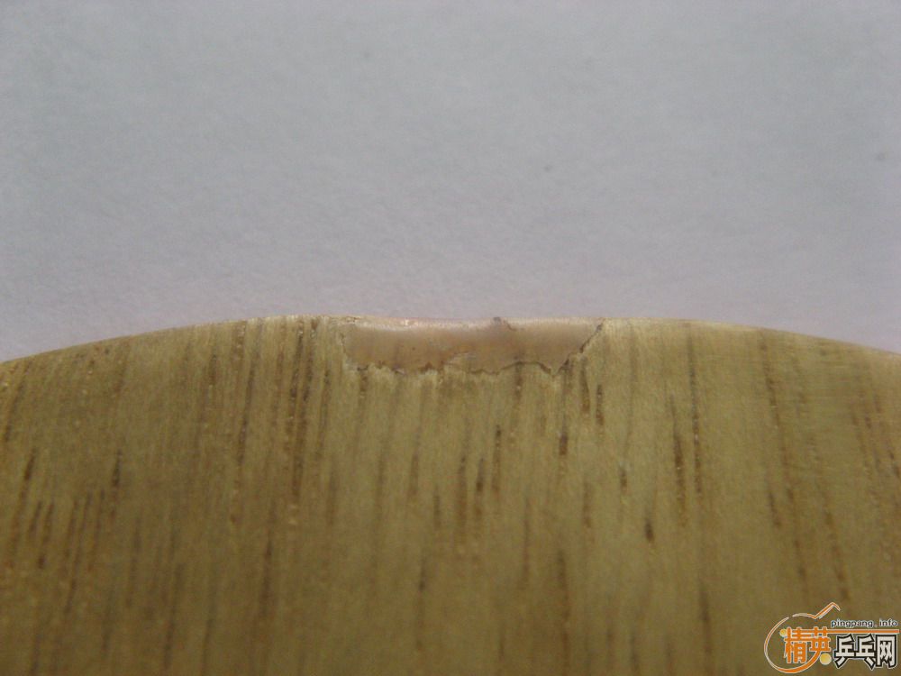 ��yasaka��ʶ�ĻƱ����CL�����400��ems