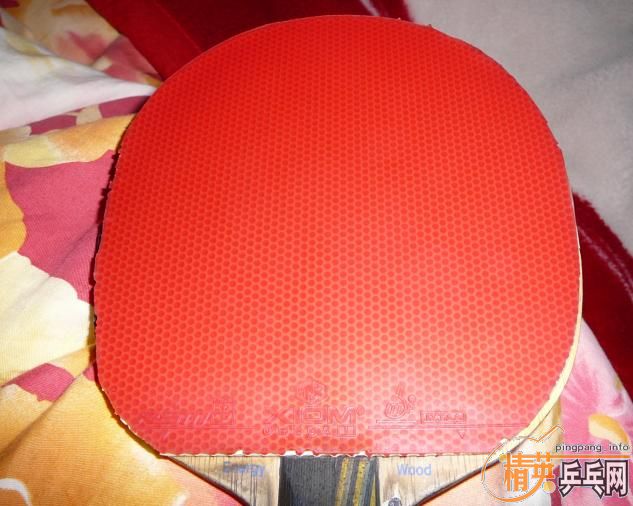 �Ͽ�Ʊ�EG��+OMIGAһ��=240Ԫ��