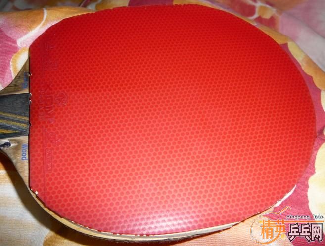 �Ͽ�Ʊ�EG��+OMIGAһ��=240Ԫ��