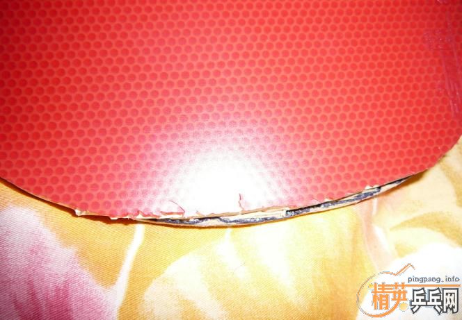 �Ͽ�Ʊ�EG��+OMIGAһ��=240Ԫ��