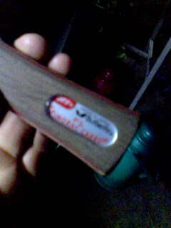 ����̼���Ѻ��FL