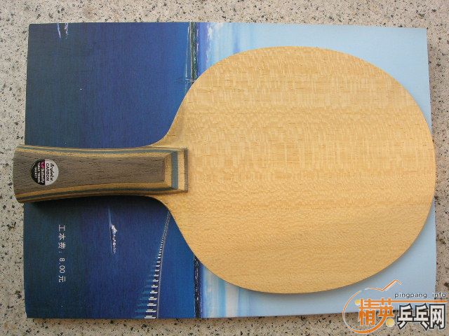 ����ֱ��������һֻ����VIS520Ԫ��ֱ450Ԫ����