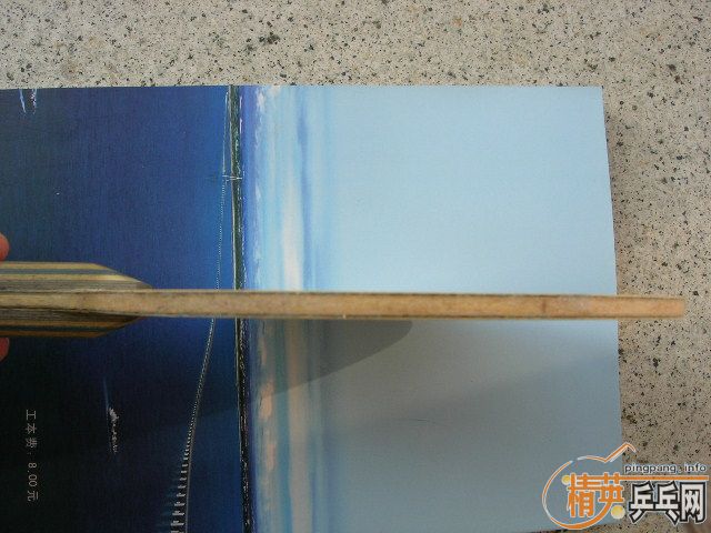 ����ֱ��������һֻ����VIS520Ԫ��ֱ450Ԫ����