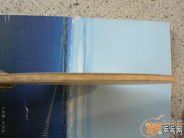 ����ֱ��������һֻ����VIS520Ԫ��ֱ450Ԫ����