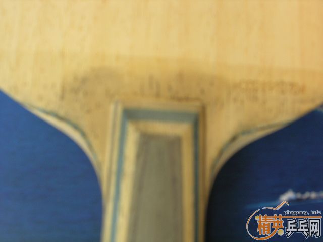 ����ֱ��������һֻ����VIS520Ԫ��ֱ450Ԫ����