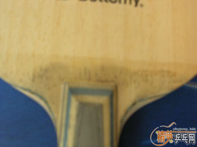 ����ֱ��������һֻ����VIS520Ԫ��ֱ450Ԫ����