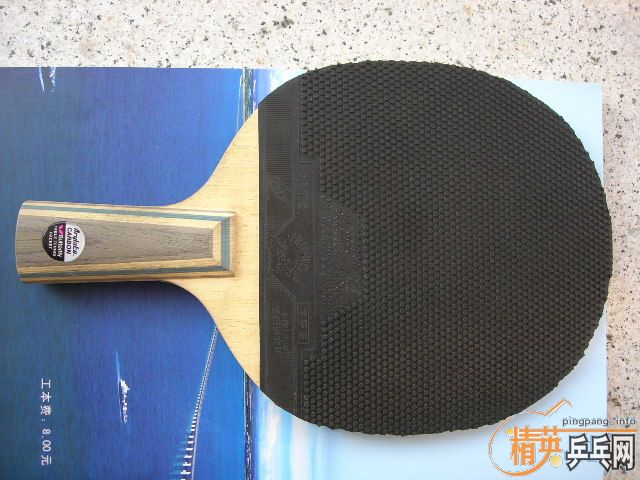 ����ֱ��������һֻ����VIS520Ԫ��ֱ450Ԫ����