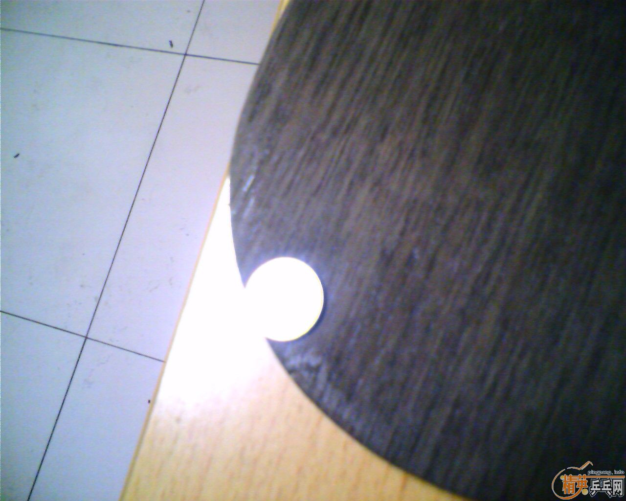 ��Ʒ9.5��������==����CL==��ͼ