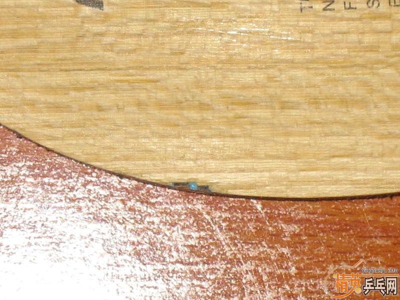 Viscaria FL+ʡ��3+Sriver EL=300