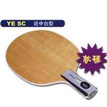 ���һ��YASAKA������LOGO��YSC