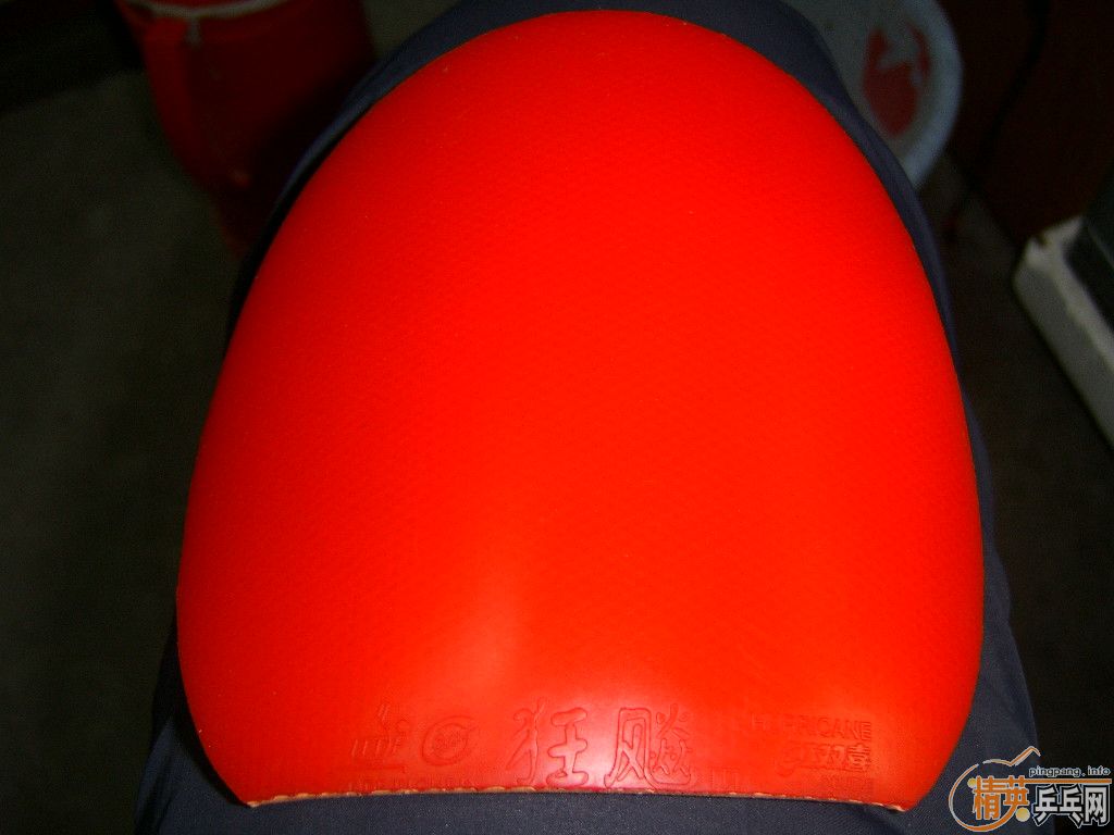 ֱ潺Ƥel 3 3ȣ