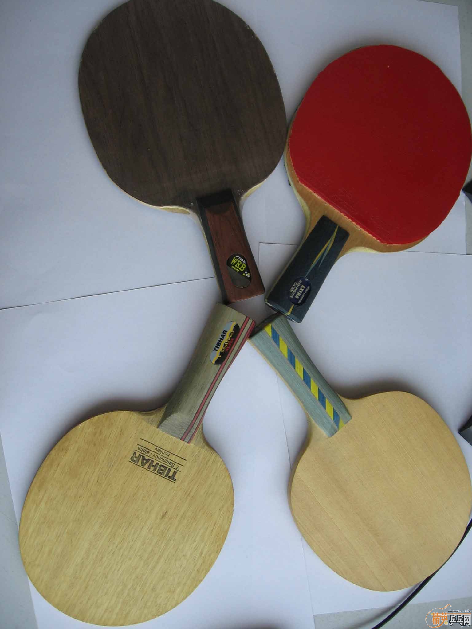 ר�Ĵ�YE�ˣ����ϻƱ�OC WRBֱ��97��85��ALPHA FL,88��ǧ��̨�� FL