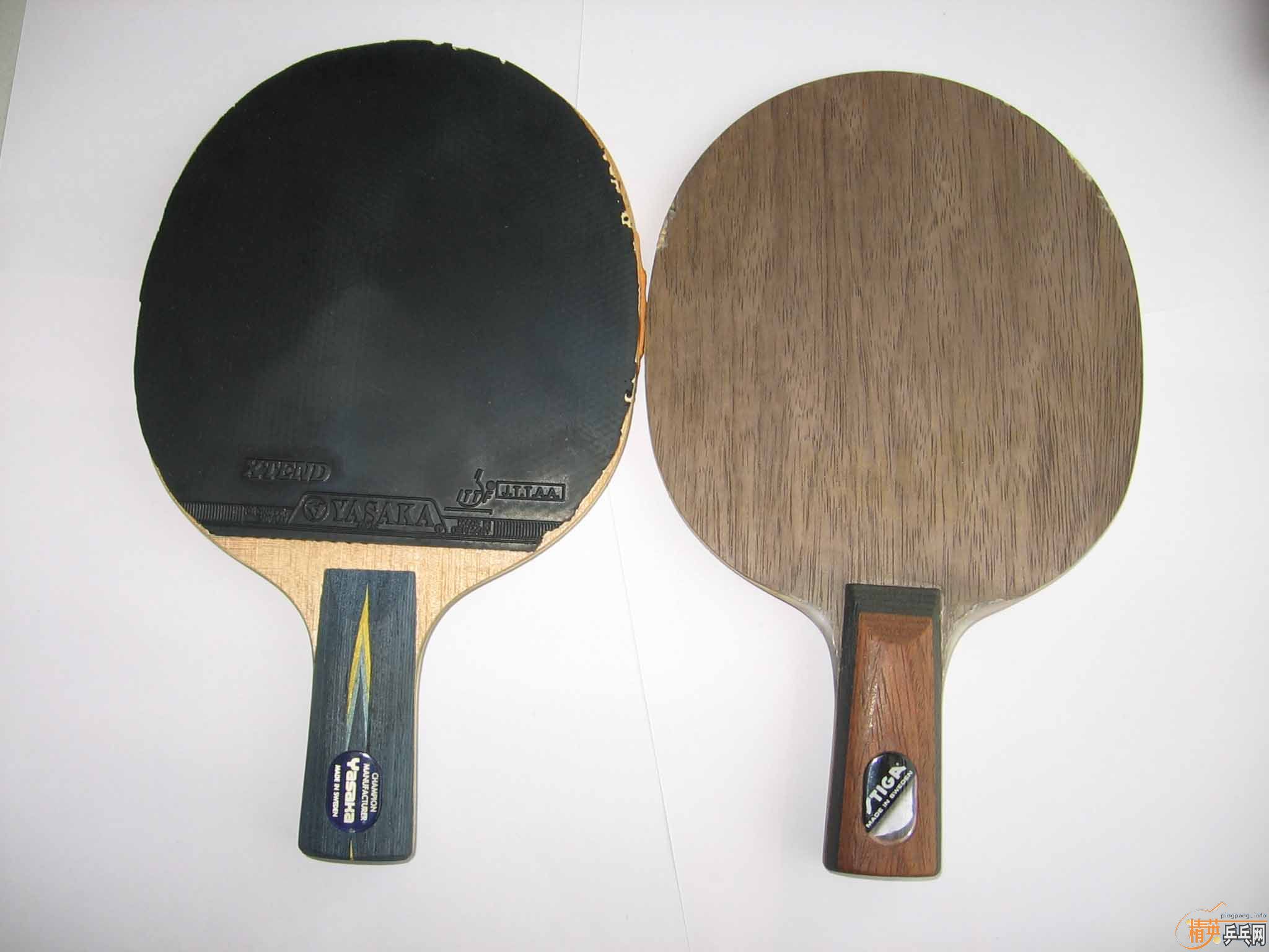 ר�Ĵ�YE�ˣ����ϻƱ�OC WRBֱ��97��85��ALPHA FL,88��ǧ��̨�� FL