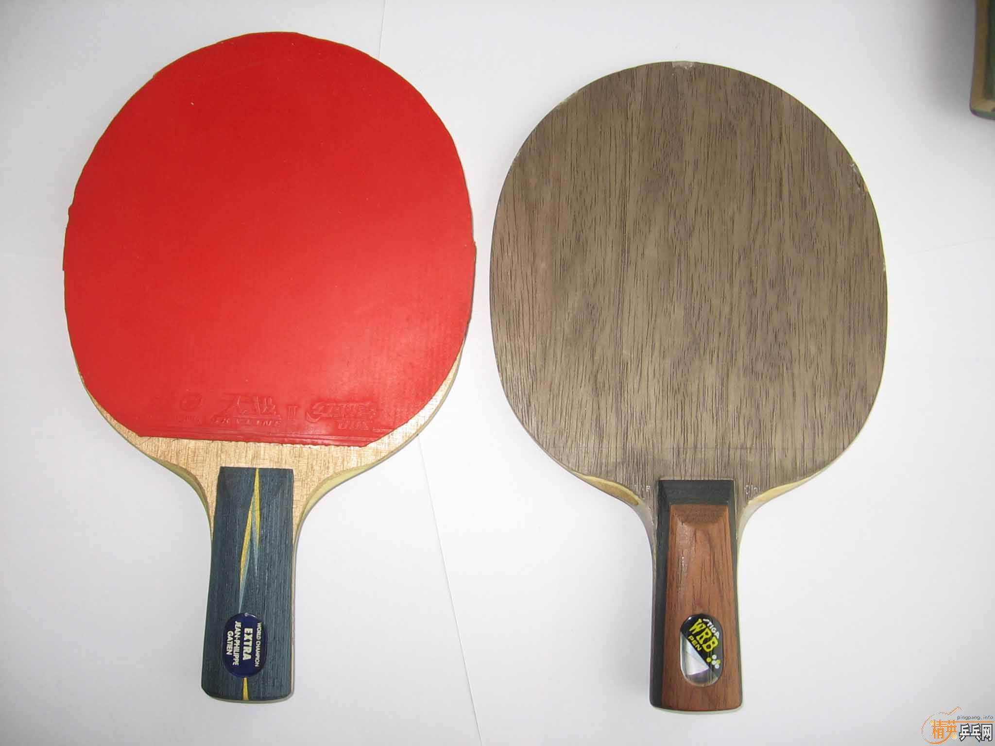 ר�Ĵ�YE�ˣ����ϻƱ�OC WRBֱ��97��85��ALPHA FL,88��ǧ��̨�� FL