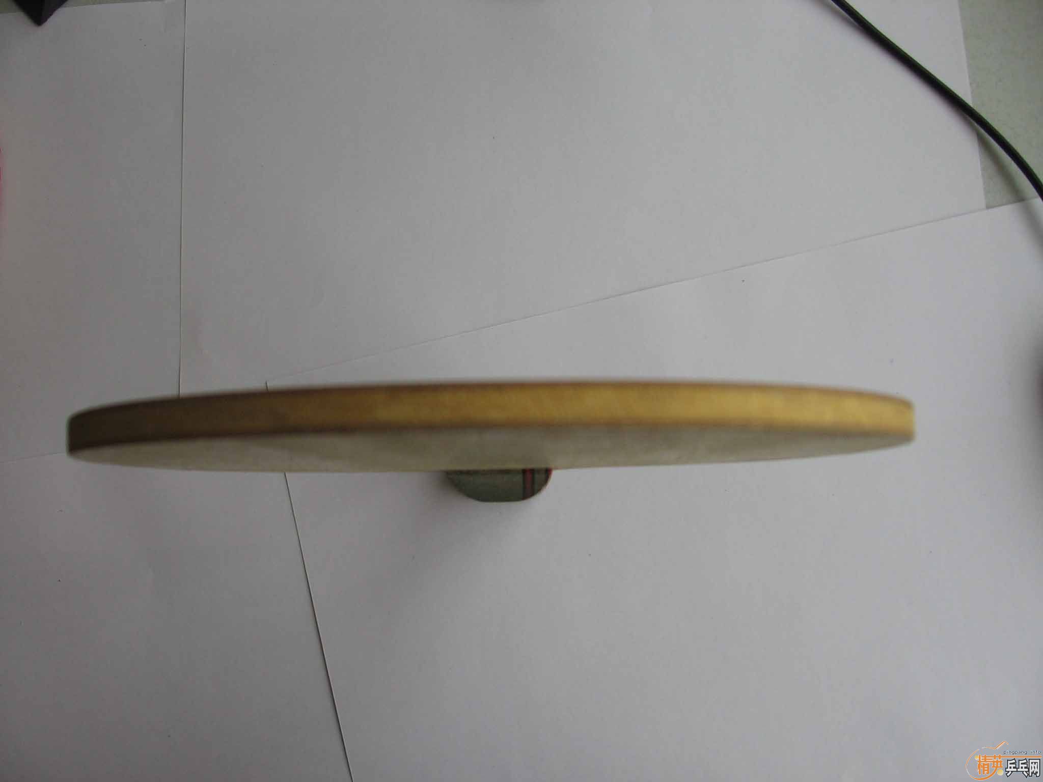 ר�Ĵ�YE�ˣ����ϻƱ�OC WRBֱ��97��85��ALPHA FL,88��ǧ��̨�� FL