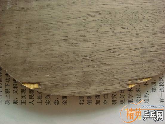 �����ˣ��ݳ�stiga oc��FL�������¡�������������ͼ��