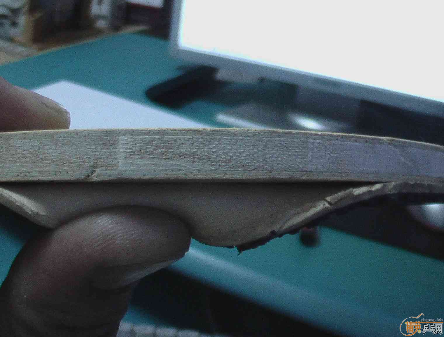 �������������֧Ԯ������