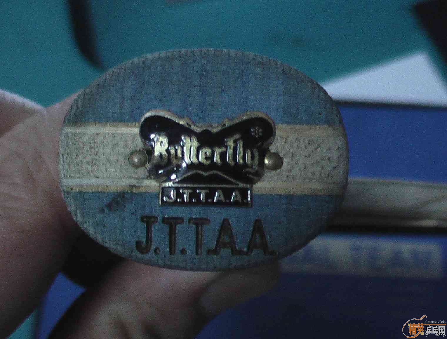 �������������֧Ԯ������