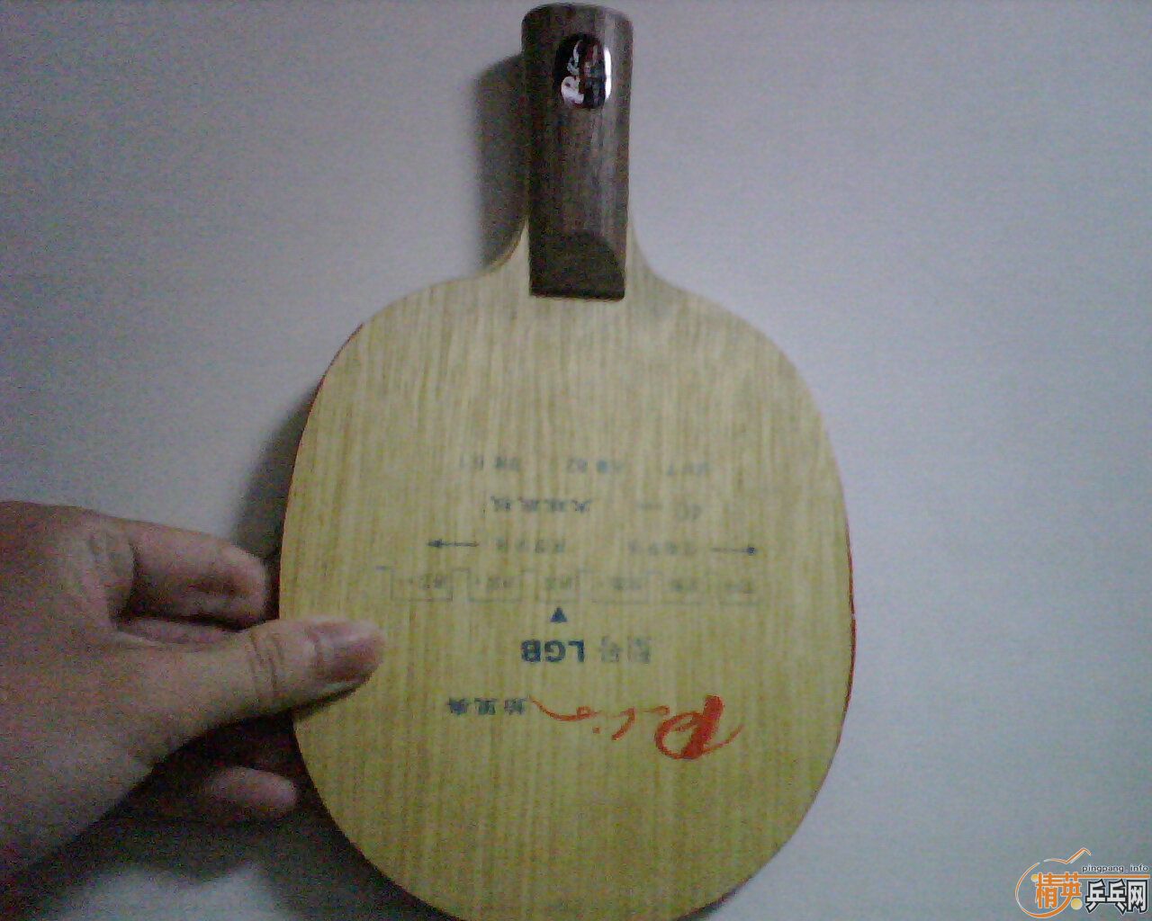 ���׽���egֱ��