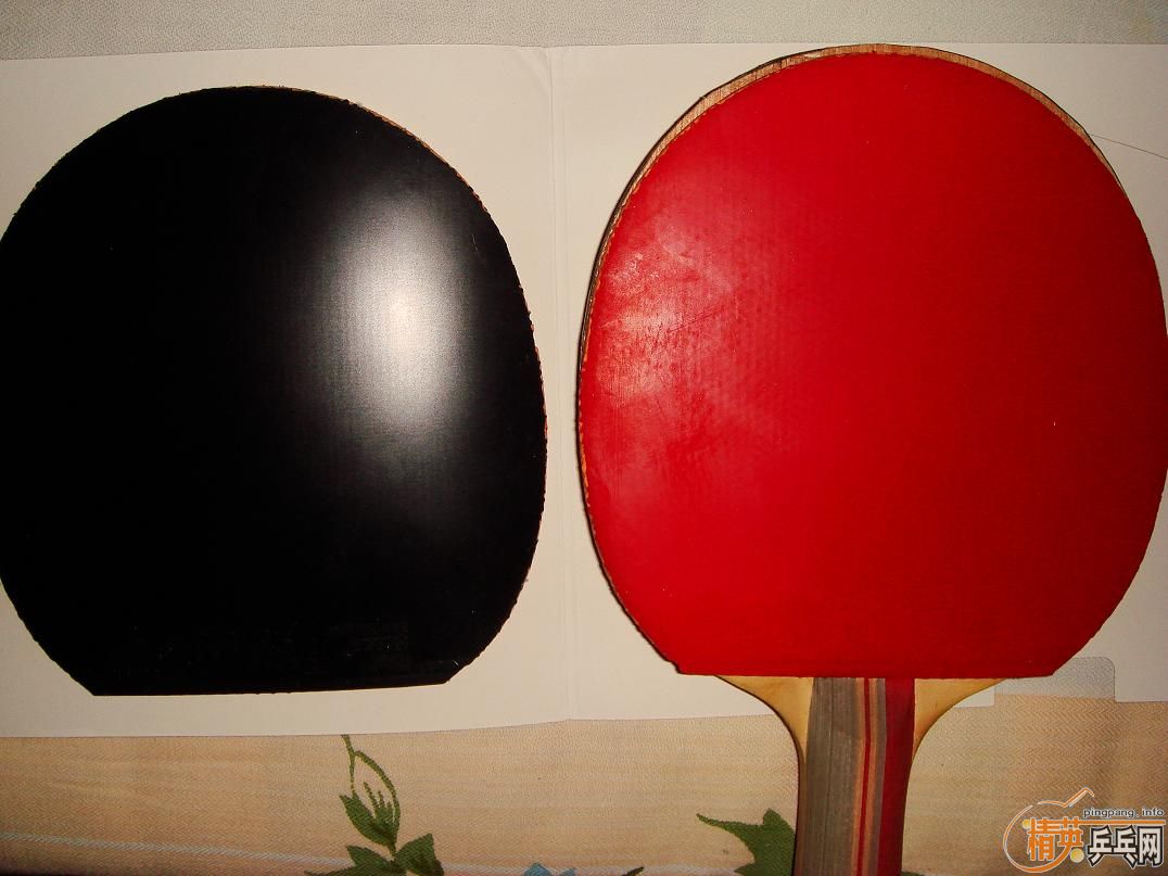 �������ߵ��׽��͵װ壬������������~~~~~~~