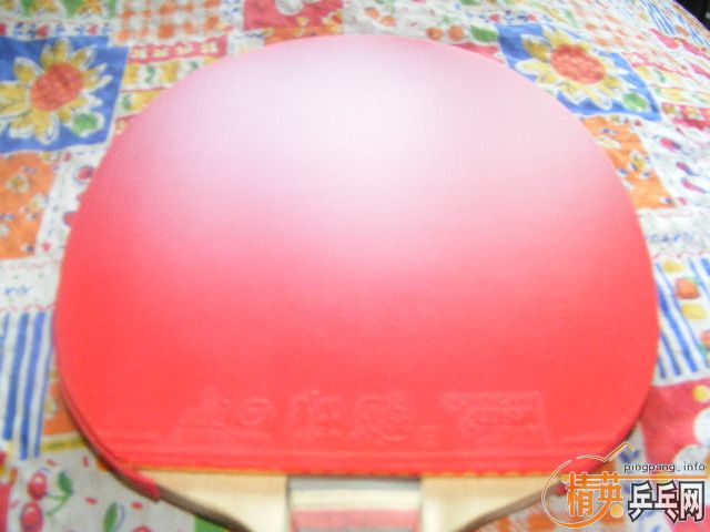 40��һ�ź�ɫ40��2