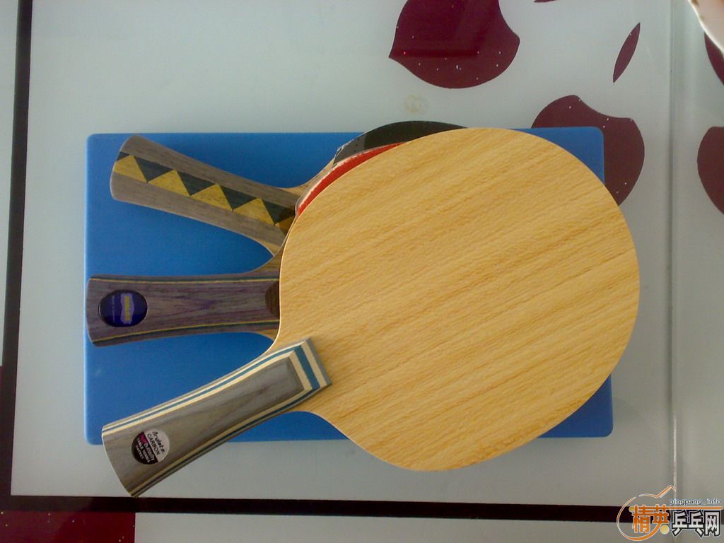 [ԭ��]�ҵı����ס����ҵ�ƹ��·(08.05.10����)