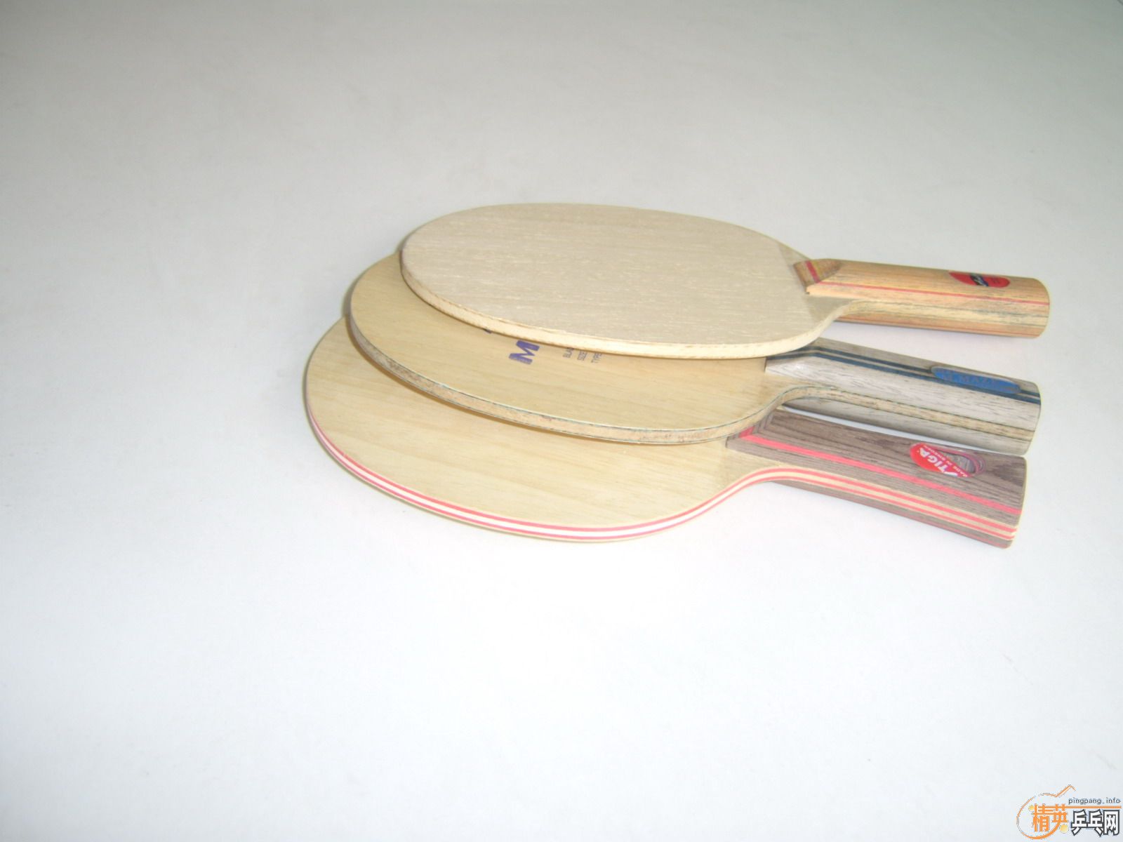 ��NP500,YASAKA CL,MEZI ST,�ѽ�����