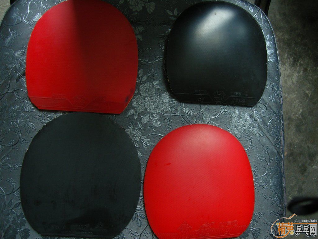 ���˳����ŷ����׽�