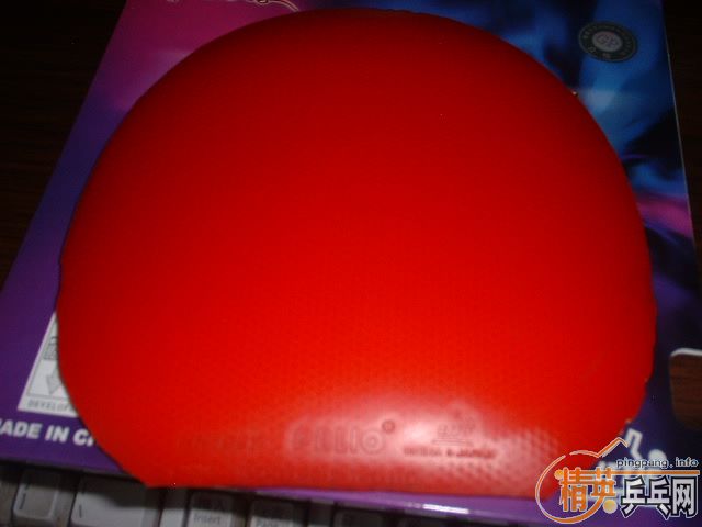 [ԭ��]ȫ��98���µĽ�Ƥ�����۴���������