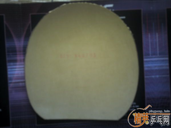 TSP 2006���¿�����SUPER SPINPIS�ٹ���+����ˣƣ���������Ԫ