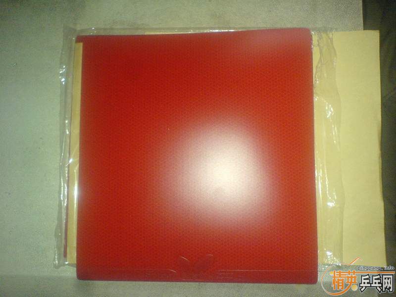 [ԭ��]Ҫ���۵�רҵ���ƺ����׽���