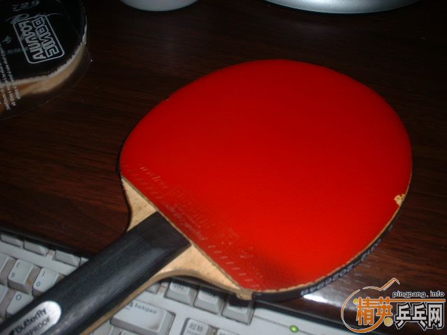 [ԭ��]ȫ�Ǻ��µĽ�Ƥ�����еװ壬���۴���������