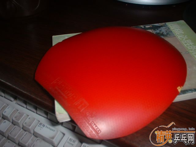 [ԭ��]ȫ��98���µĽ�Ƥ�����۴���������