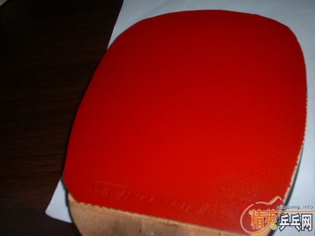 [ԭ��]98��roxon450 ��ֱ�׽�������