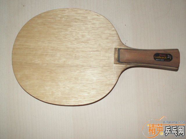 �����ѳ�רҵ������С��FL��������(ST������������Ʒ��˹��˹Ь�������������