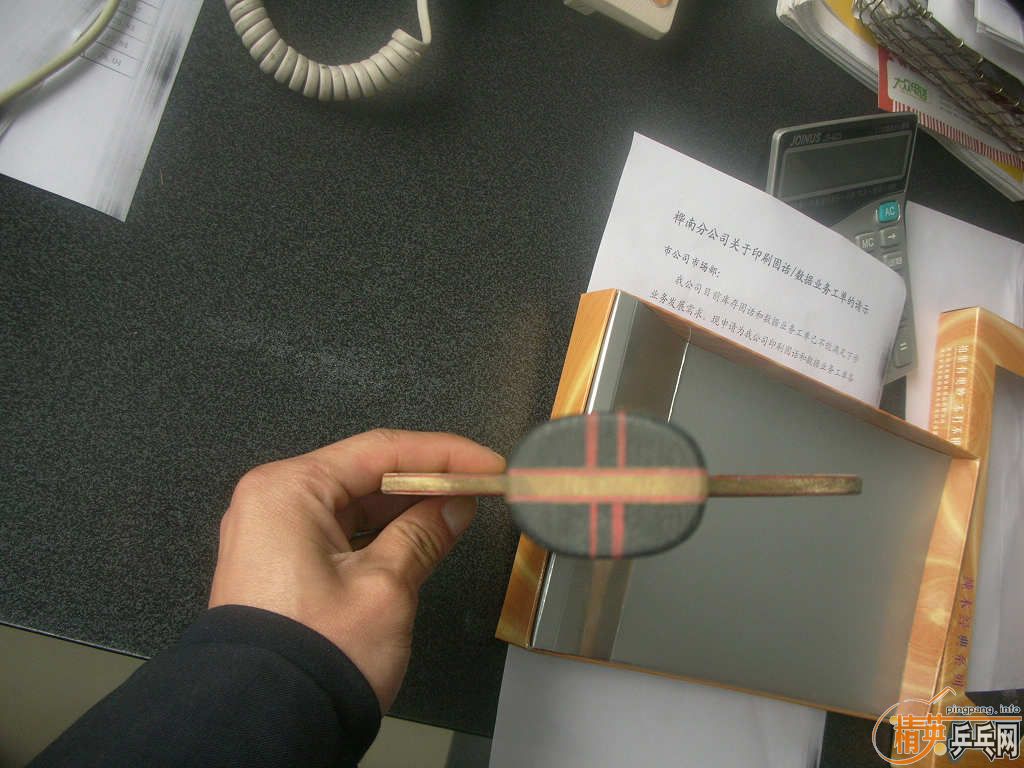 ����������ɭ AR ��FL���� �򽻻���������