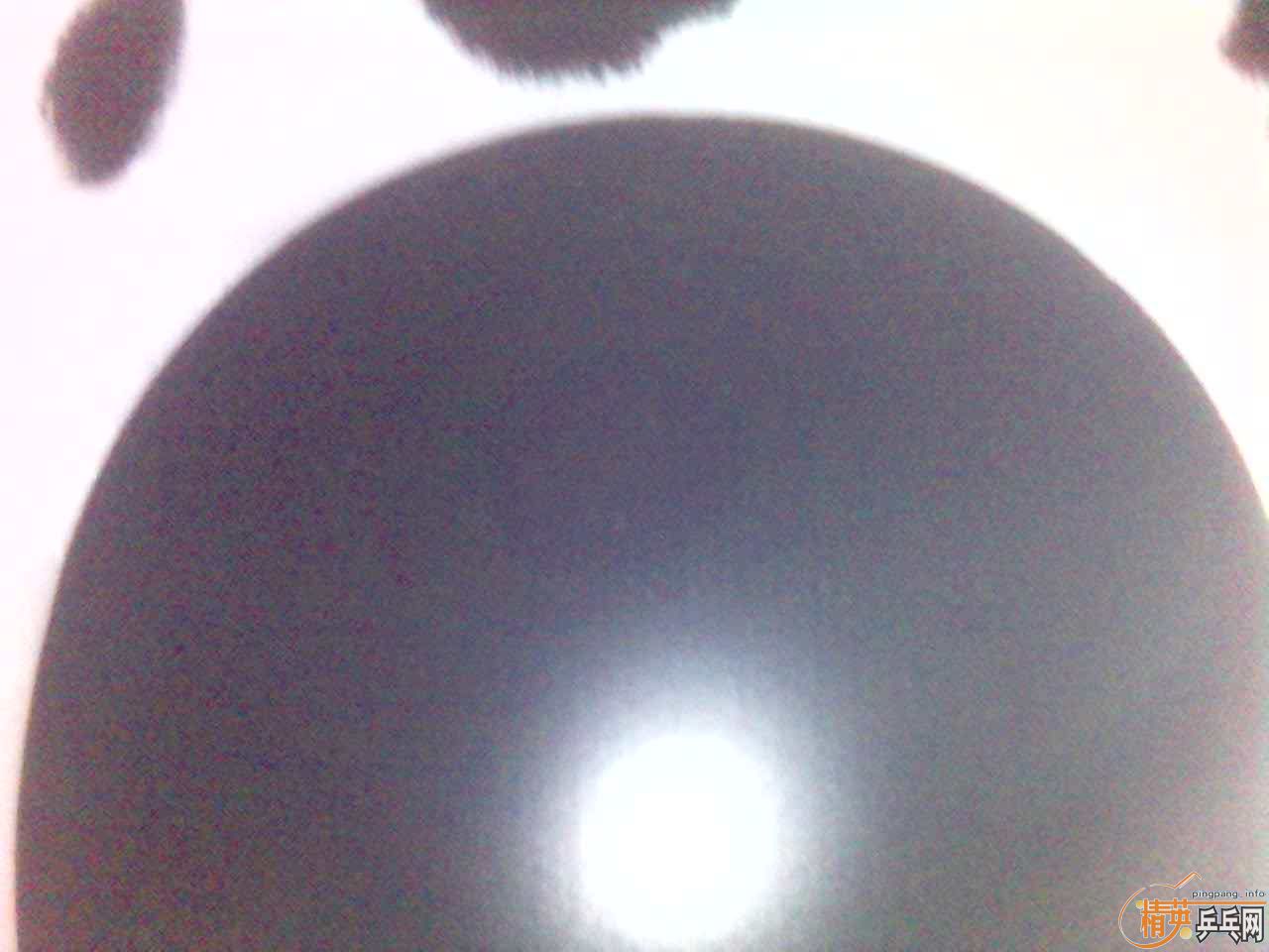 ��������HAMMONDPROA�����׽�9.5���� 100Ԫ