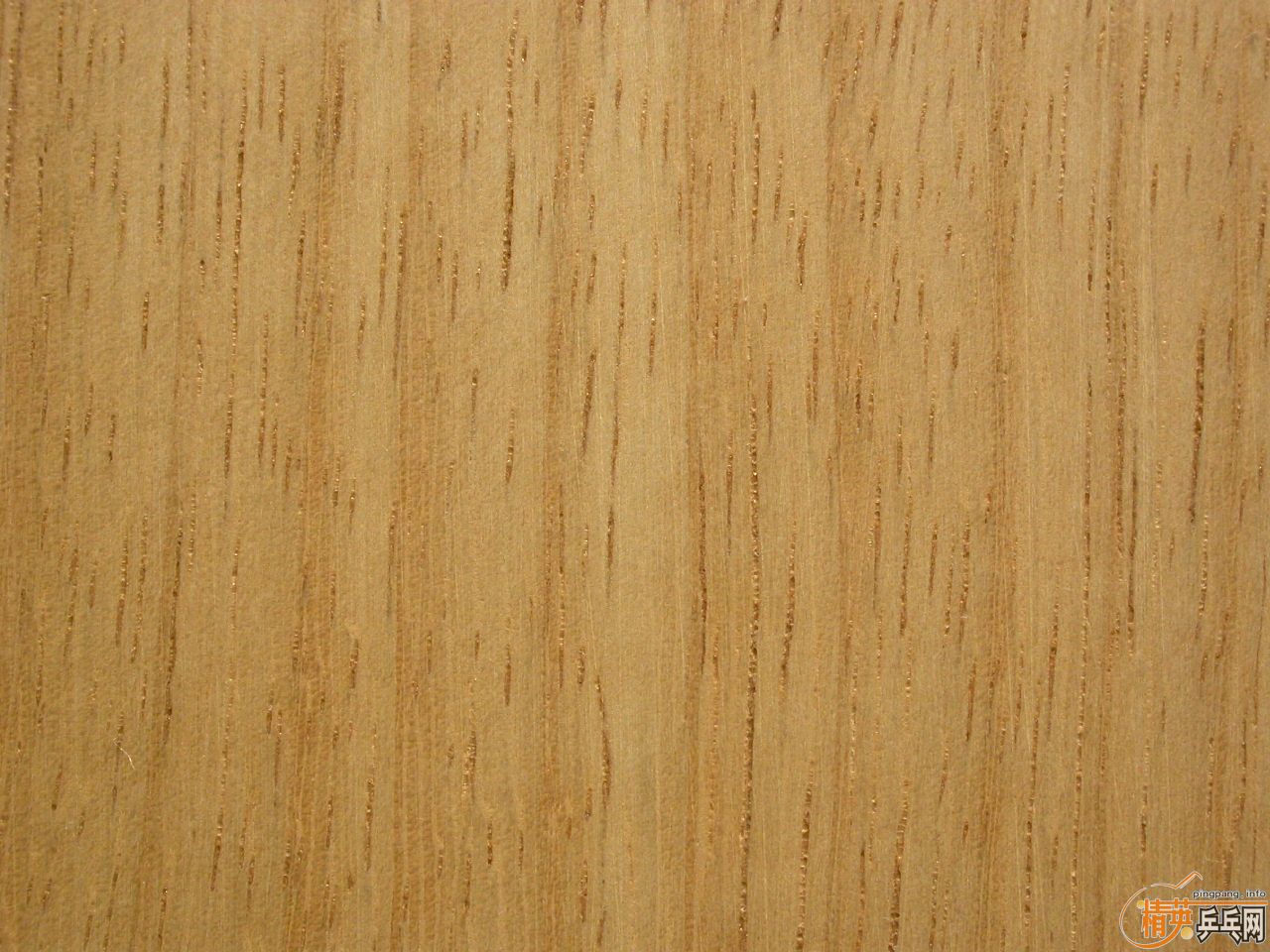 ��95��palio F12 5�㴿ľ�װ壬������죬���׽���