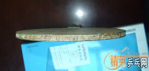 ������98���º�����