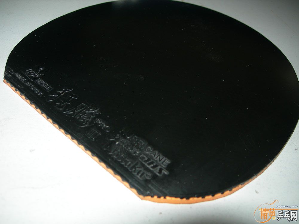 ����5���¹����NITTAKU���3 �� �������