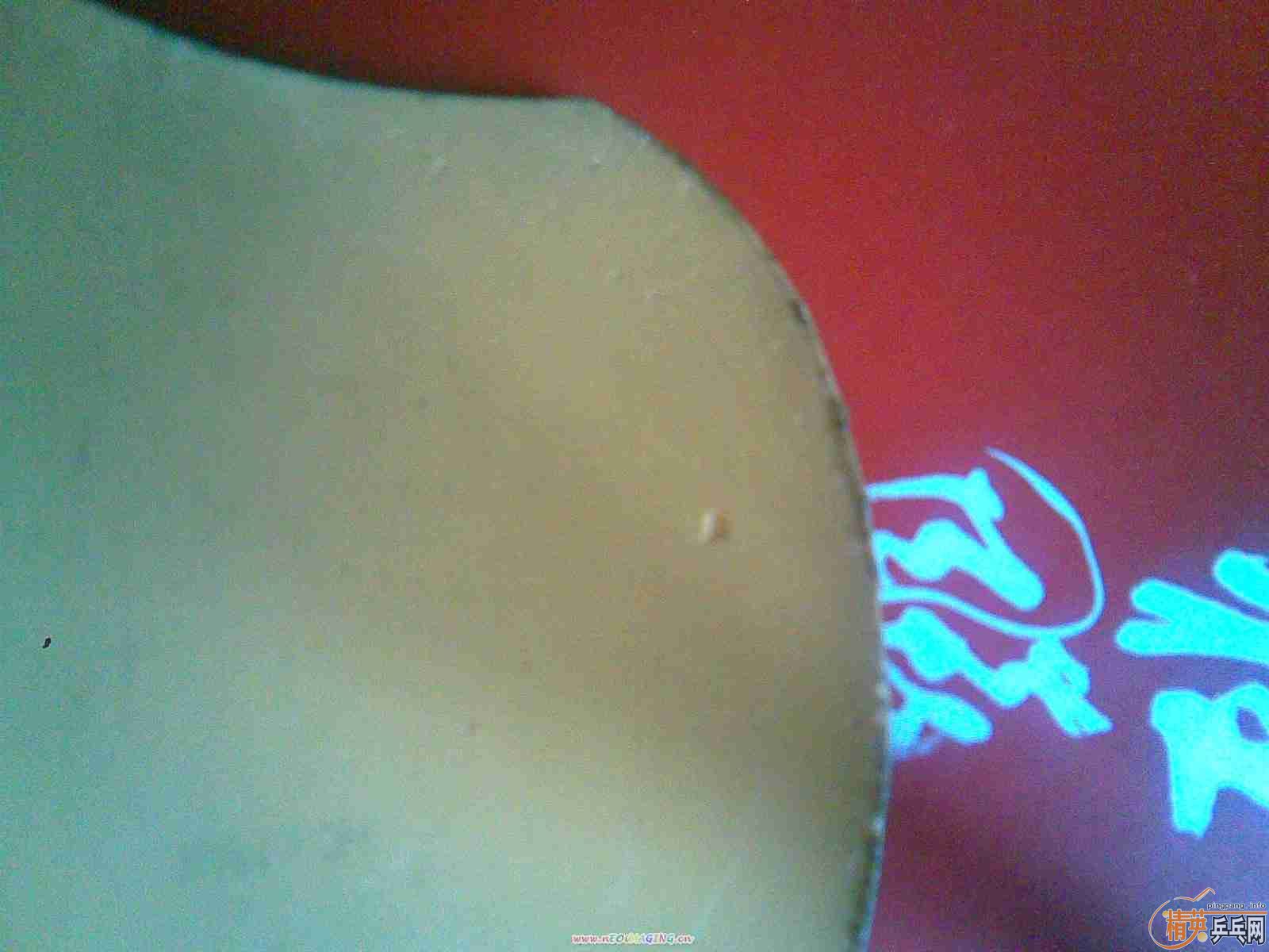 ���������ͼ۳���EG�ᣨ�л���+40��ʡ��+SRIVER=380�飡