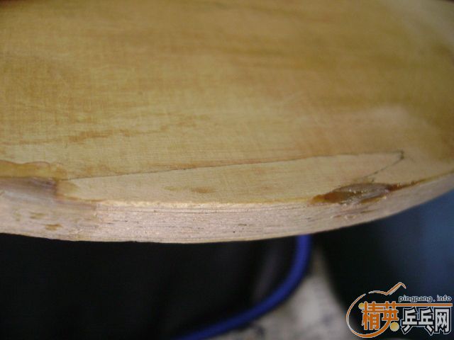 TSP ���120����