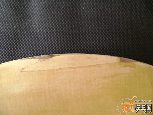 TSP ���120����