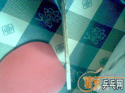 ��������ŵ