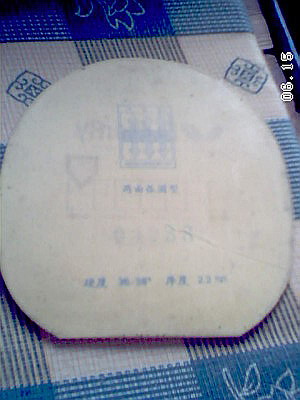 ��������ŵ