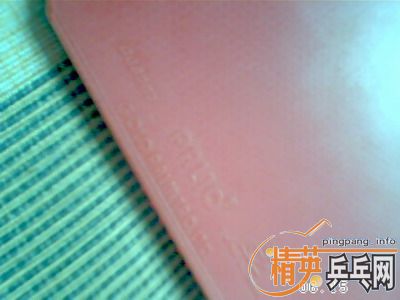 ��������ŵ