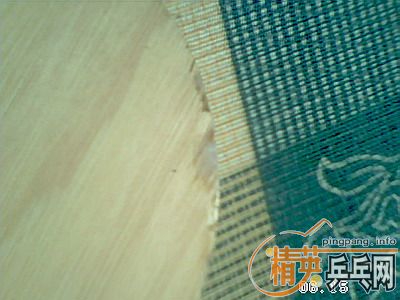 ��������ŵ