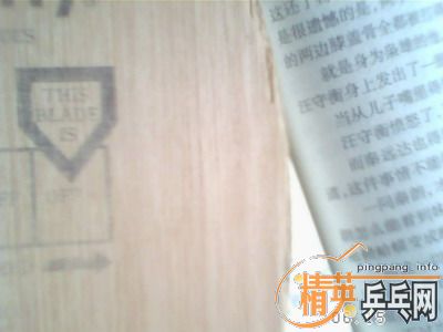 ��������ŵ