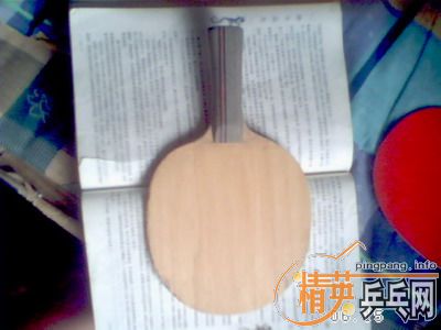 ��������ŵ