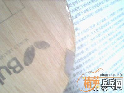 ��������ŵ